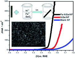 Graphical abstract: Facile fabrication of robust 3D Fe–NiSe nanowires supported on nickel foam as a highly efficient, durable oxygen evolution catalyst