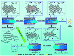 Graphical abstract: Separation and recovery of heavy metal ions and salt ions from wastewater by 3D graphene-based asymmetric electrodes via capacitive deionization