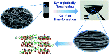 Graphical abstract: Synergistically toughening nacre-like graphene nanocomposites via gel-film transformation