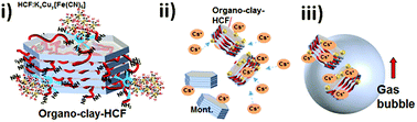 Graphical abstract: Organically modified clay with potassium copper hexacyanoferrate for enhanced Cs+ adsorption capacity and selective recovery by flotation