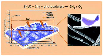 Graphical abstract: Oxygen-deficient WO3−x@TiO2−x core–shell nanosheets for efficient photoelectrochemical oxidation of neutral water solutions