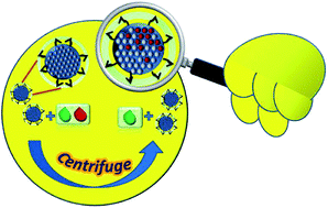 Graphical abstract: Amphi-functional mesoporous silica nanoparticles for dye separation