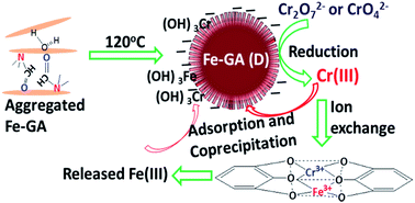Graphical abstract: Stable hierarchical microspheres of 1D Fe–gallic acid MOFs for fast and efficient Cr(vi) elimination by a combination of reduction, metal substitution and coprecipitation