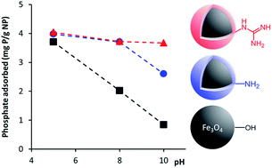 Graphical abstract: Fe3O4 nanoparticles coated with a guanidinium-functionalized polyelectrolyte extend the pH range for phosphate binding