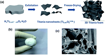 Graphical abstract: A novel ultralight three-dimensional house-of-cards titania monolith for extraordinary heavy-metal adsorption