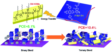 Graphical abstract: Energy transfer within small molecule/conjugated polymer blends enhances photovoltaic efficiency