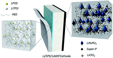 Graphical abstract: An advanced construction strategy of all-solid-state lithium batteries with excellent interfacial compatibility and ultralong cycle life