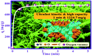 Graphical abstract: Unexpected ultrafast and high adsorption capacity of oxygen vacancy-rich WOx/C nanowire networks for aqueous Pb2+ and methylene blue removal