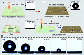 Graphical abstract: A single-layer Janus membrane with dual gradient conical micropore arrays for self-driving fog collection