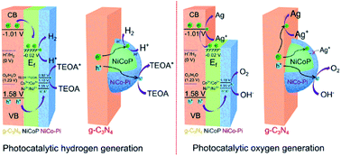 Graphical abstract: A bifunctional NiCoP-based core/shell cocatalyst to promote separate photocatalytic hydrogen and oxygen generation over graphitic carbon nitride