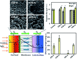 Graphical abstract: Photothermal nanocomposite membranes for direct solar membrane distillation