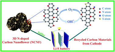 Graphical abstract: 3D hierarchical nitrogen-doped carbon nanoflower derived from chitosan for efficient electrocatalytic oxygen reduction and high performance lithium–sulfur batteries