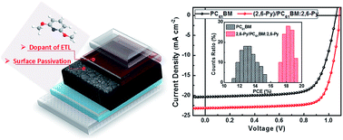 Graphical abstract: Dual functions of interface passivation and n-doping using 2,6-dimethoxypyridine for enhanced reproducibility and performance of planar perovskite solar cells