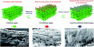 Graphical abstract: A cellulose fibers-supported hierarchical forest-like cuprous oxide/copper array architecture as a flexible and free-standing electrode for symmetric supercapacitors