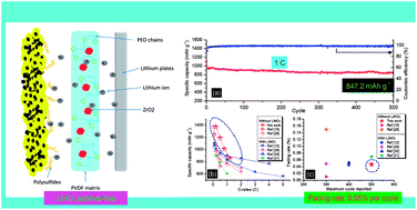 Graphical abstract: Poly(vinylidene fluoride)-based hybrid gel polymer electrolytes for additive-free lithium sulfur batteries
