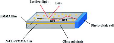 Graphical abstract: N-doped carbon-dots for luminescent solar concentrators
