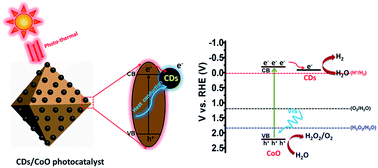 Graphical abstract: Carbon dots anchored on octahedral CoO as a stable visible-light-responsive composite photocatalyst for overall water splitting