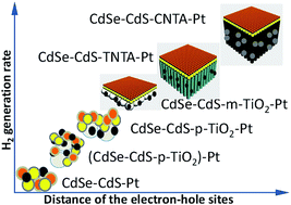 Graphical abstract: Fabricating efficient CdSe–CdS photocatalyst systems by spatially resetting water splitting sites