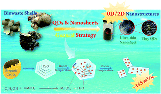 Graphical abstract: Recycling biowaste shells to produce 0D/2D Mn–Ca nanostructures for efficient trace-level metal extraction: confined growth of nanosheets and good dispersion of quantum dots