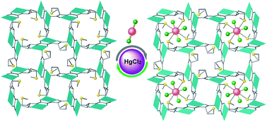 Graphical abstract: Fine-tuning of the confined space in microporous metal–organic frameworks for efficient mercury removal