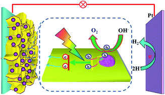 Graphical abstract: The synergistic effect of Bi2WO6 nanoplates and Co3O4 cocatalysts for enhanced photoelectrochemical properties