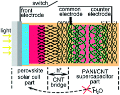Graphical abstract: A photocapacitor based on organometal halide perovskite and PANI/CNT composites integrated using a CNT bridge