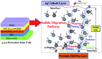 Graphical abstract: Halide anion–fullerene π noncovalent interactions: n-doping and a halide anion migration mechanism in p–i–n perovskite solar cells