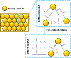 Graphical abstract: Recyclable high-performance epoxy based on transesterification reaction