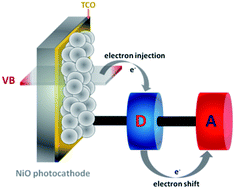 Graphical abstract: Recent advances and insights in dye-sensitized NiO photocathodes for photovoltaic devices