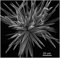Graphical abstract: Synthesis and characterization of novel stellate sea-urchin-like silver particles with extremely low density and superhydrophobicity