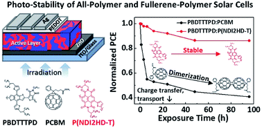 Graphical abstract: Impact of the photo-induced degradation of electron acceptors on the photophysics, charge transport and device performance of all-polymer and fullerene–polymer solar cells