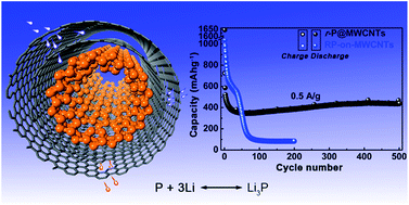 Graphical abstract: Enhanced cycling stability of ring-shaped phosphorus inside multi-walled carbon nanotubes as anodes for lithium-ion batteries