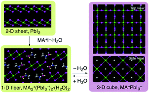 Graphical abstract: Effects of water on the forward and backward conversions of lead(ii) iodide to methylammonium lead perovskite
