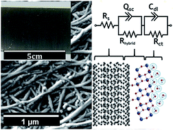 Graphical abstract: Large area photoelectrodes based on hybrids of CNT fibres and ALD-grown TiO2