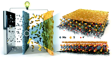 Graphical abstract: Rational design of exfoliated 1T MoS2@CNT-based bifunctional separators for lithium sulfur batteries