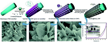 Graphical abstract: Thin MoS2 nanosheets grafted MOFs-derived porous Co–N–C flakes grown on electrospun carbon nanofibers as self-supported bifunctional catalysts for overall water splitting