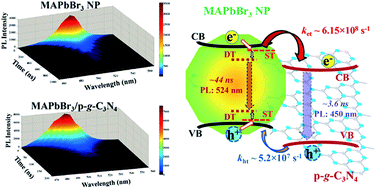 Graphical abstract: Methylamine lead bromide perovskite/protonated graphitic carbon nitride nanocomposites: interfacial charge carrier dynamics and photocatalysis