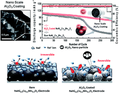 Graphical abstract: Resolving the degradation pathways of the O3-type layered oxide cathode surface through the nano-scale aluminum oxide coating for high-energy density sodium-ion batteries