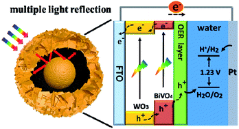 Graphical abstract: Solution-processed yolk–shell-shaped WO3/BiVO4 heterojunction photoelectrodes for efficient solar water splitting