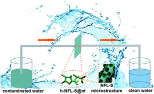 Graphical abstract: From lamellar to hierarchical: overcoming the diffusion barriers of sulfide-intercalated layered double hydroxides for highly efficient water treatment