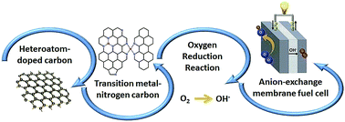 Graphical abstract: Electrocatalysis of oxygen reduction on heteroatom-doped nanocarbons and transition metal–nitrogen–carbon catalysts for alkaline membrane fuel cells