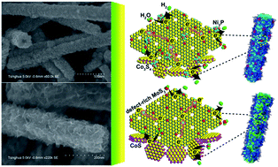 Graphical abstract: Hierarchical CoS/MoS2 and Co3S4/MoS2/Ni2P nanotubes for efficient electrocatalytic hydrogen evolution in alkaline media