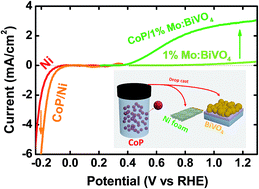 Graphical abstract: A precious metal-free solar water splitting cell with a bifunctional cobalt phosphide electrocatalyst and doubly promoted bismuth vanadate photoanode