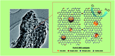 Graphical abstract: Highly efficient and sustainable non-precious-metal Fe–N–C electrocatalysts for the oxygen reduction reaction