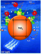 Graphical abstract: Cyclodextrin–gold nanocluster decorated TiO2 enhances photocatalytic decomposition of organic pollutants