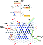 Graphical abstract: Engineering nanoscale p–n junction via the synergetic dual-doping of p-type boron-doped graphene hybridized with n-type oxygen-doped carbon nitride for enhanced photocatalytic hydrogen evolution