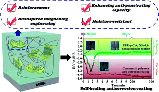 Graphical abstract: Autonomous self-healing supramolecular elastomer reinforced and toughened by graphitic carbon nitride nanosheets tailored for smart anticorrosion coating applications