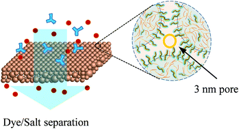 Graphical abstract: Hydrogel-embedded tight ultrafiltration membrane with superior anti-dye-fouling property for low-pressure driven molecule separation