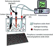 Graphical abstract: A general potentiodynamic approach for red phosphorus and sulfur nanodot incorporation on reduced graphene oxide sheets: metal-free and binder-free electrodes for supercapacitor and hydrogen evolution activities