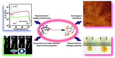 Graphical abstract: A thermally and water activated shape memory gelatin physical hydrogel, with a gel point above the physiological temperature, for biomedical applications